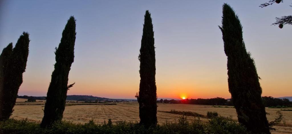 Agriturismo Il Canneto Casole d'Elsa Luaran gambar